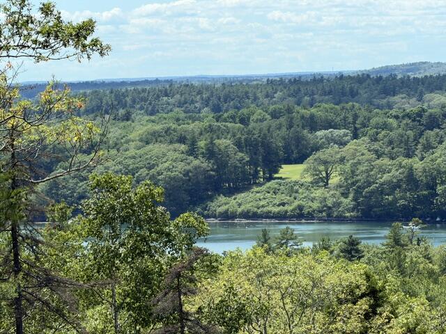 306 Cross Point Road, Unit AREAR LOT Edgecomb, ME 04556 - Photo 14 of 19 IMG_5093