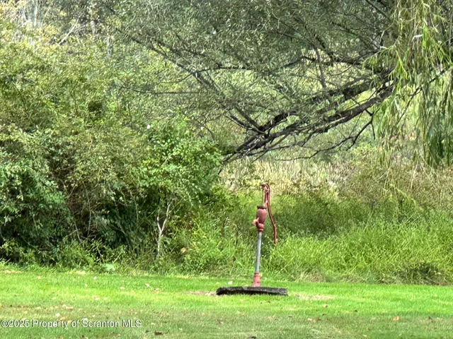 a garden view with a seating space