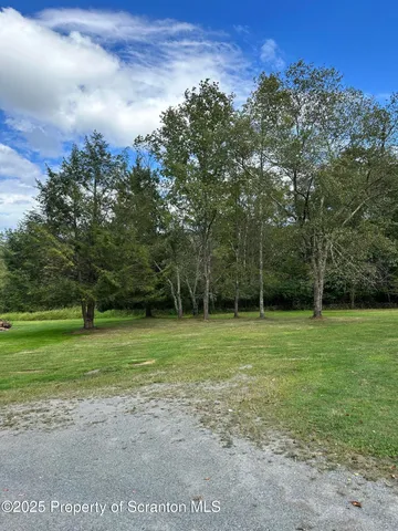 a view of a yard with a large trees