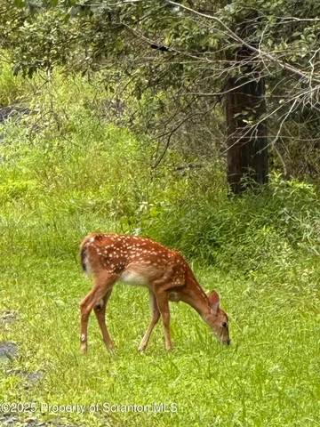 a view of front door of house