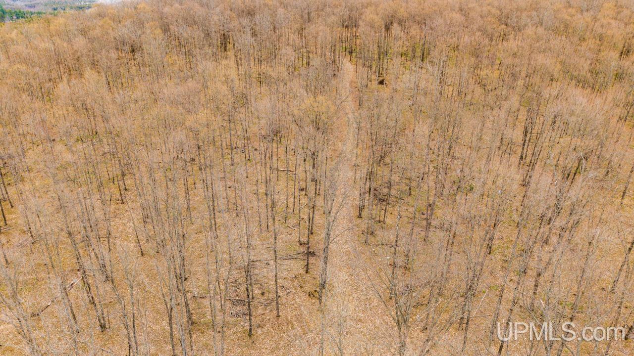Tbd Hupp Road Vulcan, MI 49892 - Photo 7 of 12