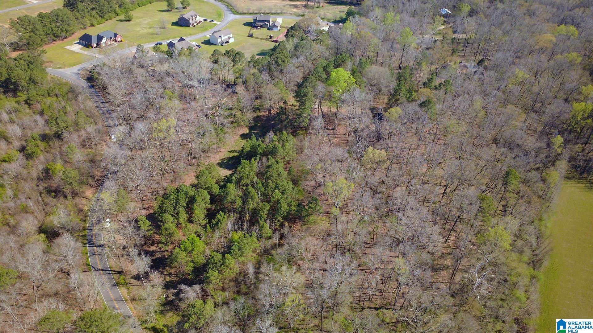 3590 Lindsey Loop Road Bessemer, AL 35022 - Photo 3 of 21 Gallery Image 3