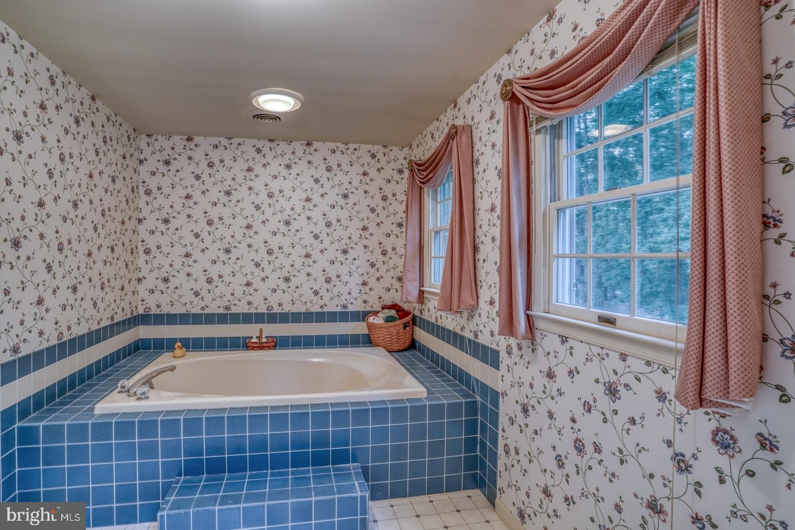 165 Burning Tree Road Dover, DE 19904 - Photo 32 of 48 Jetted soaking tub