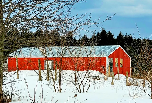 $180,000 | 9866 Erdman Road, Onekama, MI 49675