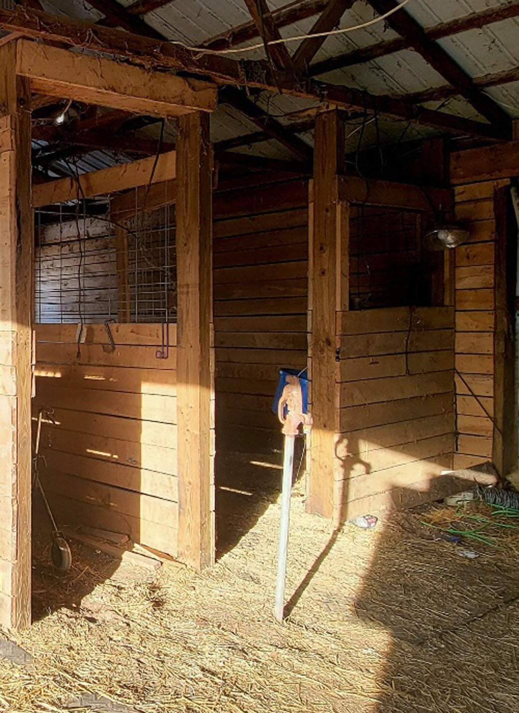 9866 Erdman Road Onekama, MI 49675 - Photo 12 of 48 20250313_181738