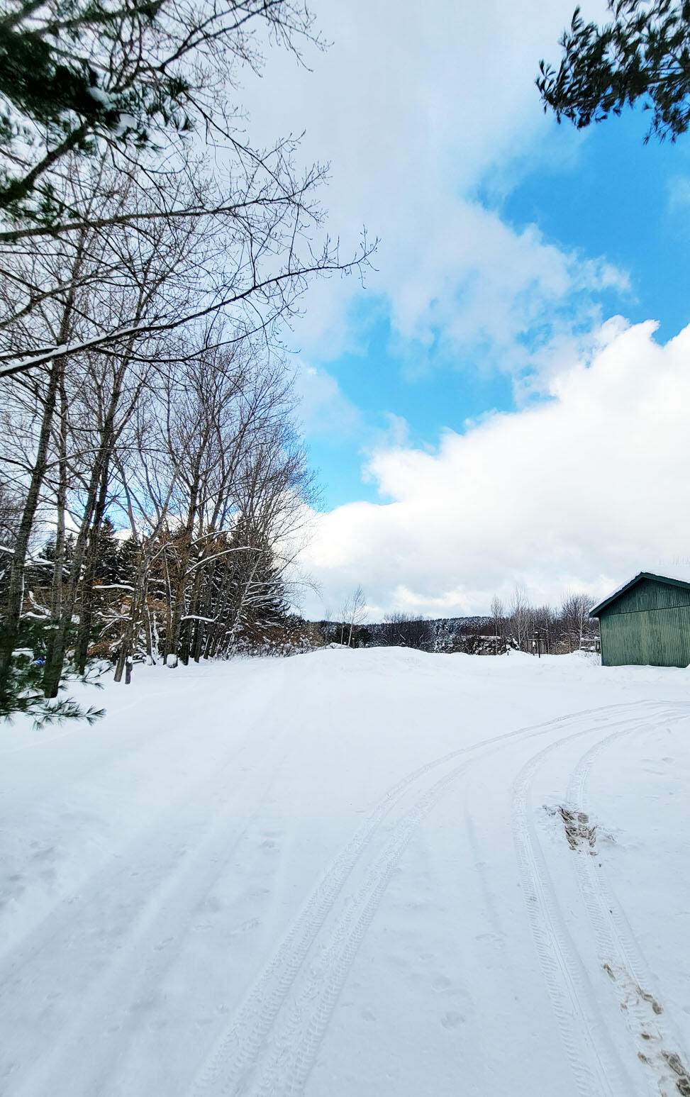 9866 Erdman Road Onekama, MI 49675 - Photo 24 of 48 20250125_143705