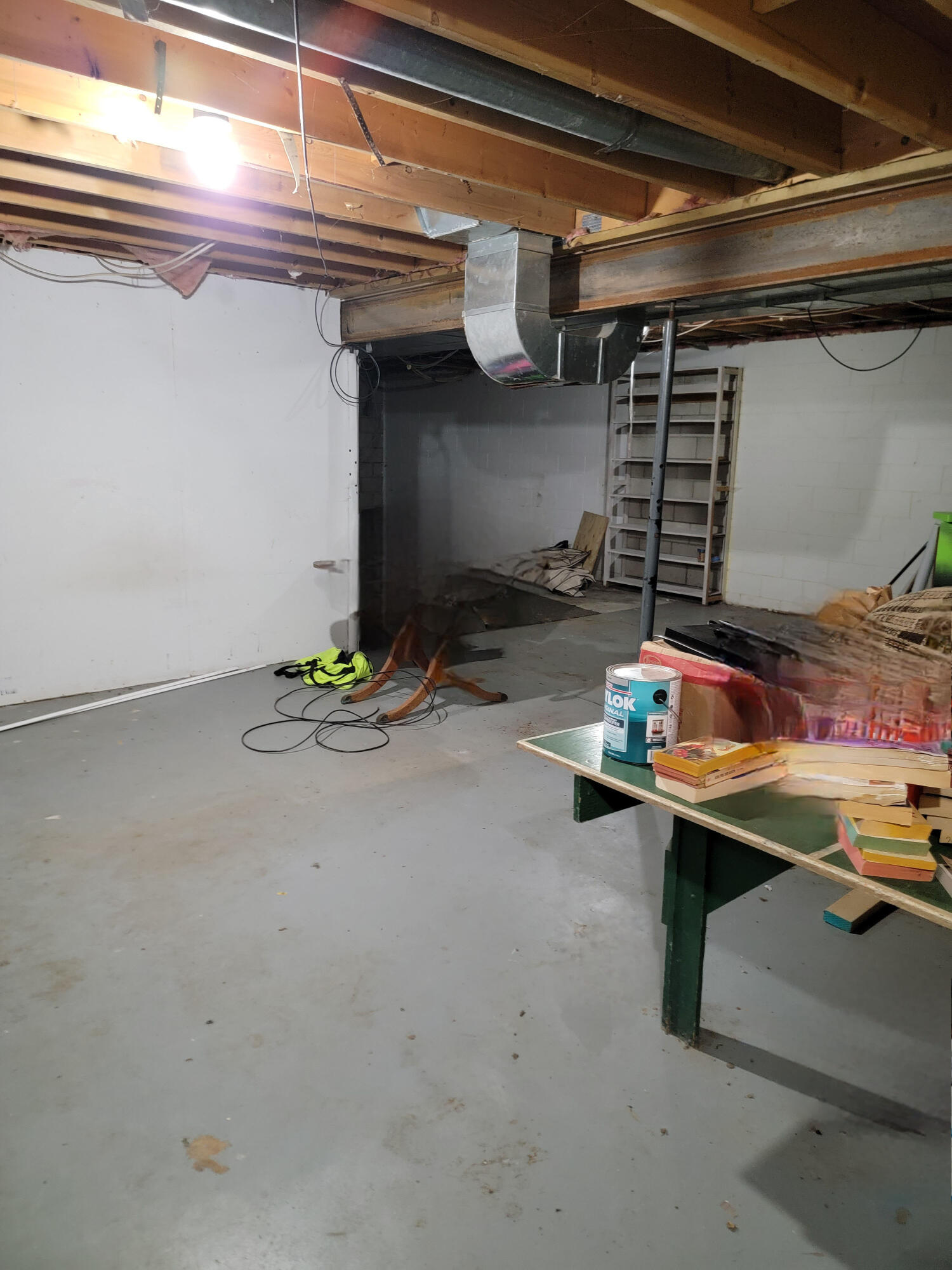 9866 Erdman Road Onekama, MI 49675 - Photo 29 of 48 basement2