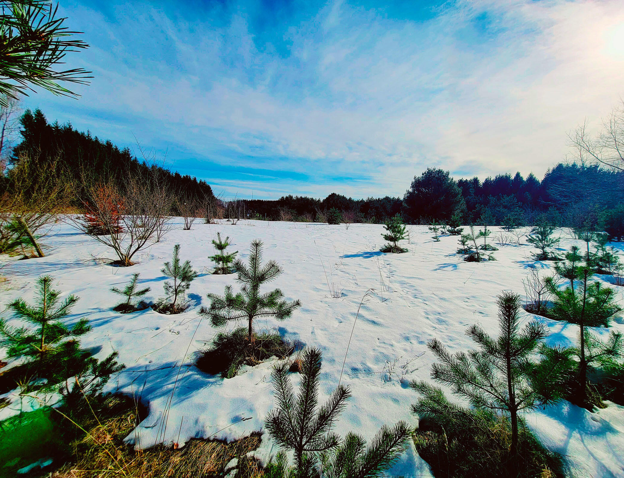 9866 Erdman Road Onekama, MI 49675 - Photo 3 of 48 A A1