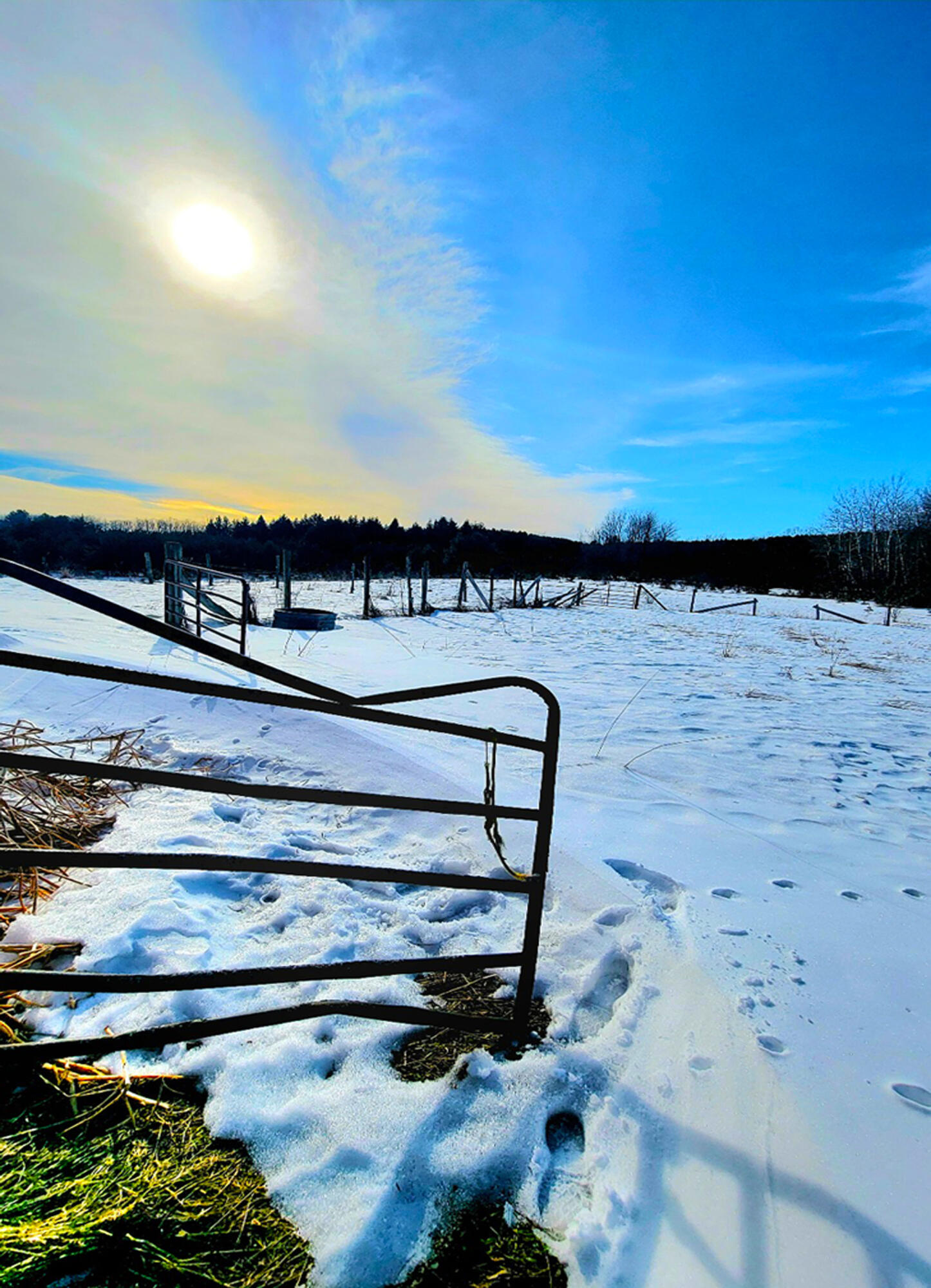 9866 Erdman Road Onekama, MI 49675 - Photo 4 of 48 A A3