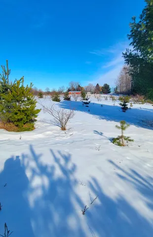 $180,000 | 9866 Erdman Road, Onekama, MI 49675