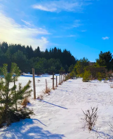 $180,000 | 9866 Erdman Road, Onekama, MI 49675