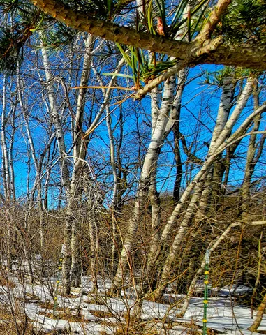 $180,000 | 9866 Erdman Road, Onekama, MI 49675