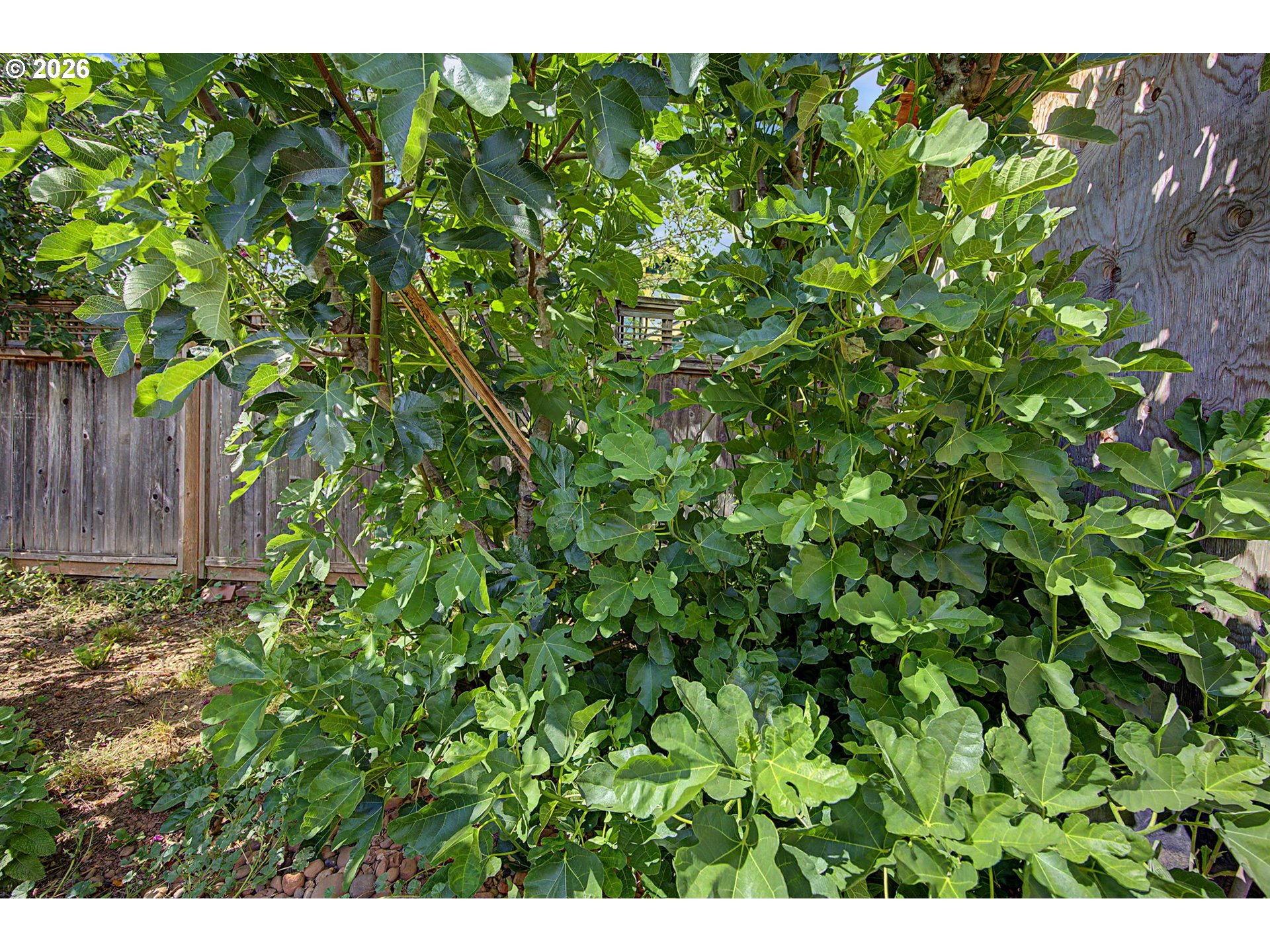 7441 Southeast Rural Street Portland, OR 97206 - Photo 45 of 47