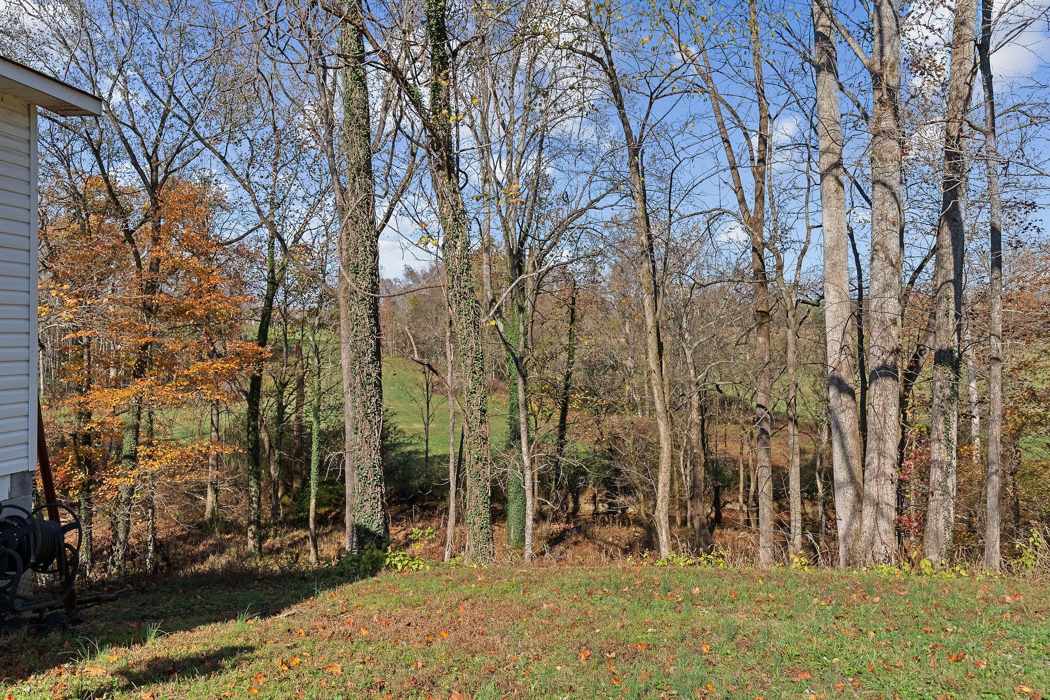 408 West Main Street Smithville, TN 37166 - Photo 65 of 81 a backyard of a house with lots of green space