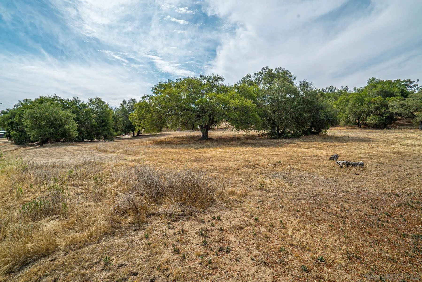 Paradise Mountain Rd Valley Center, Unit 1892302700 Valley Center, CA 92082 - Photo 1 of 24 a backyard of a house with lots of green space