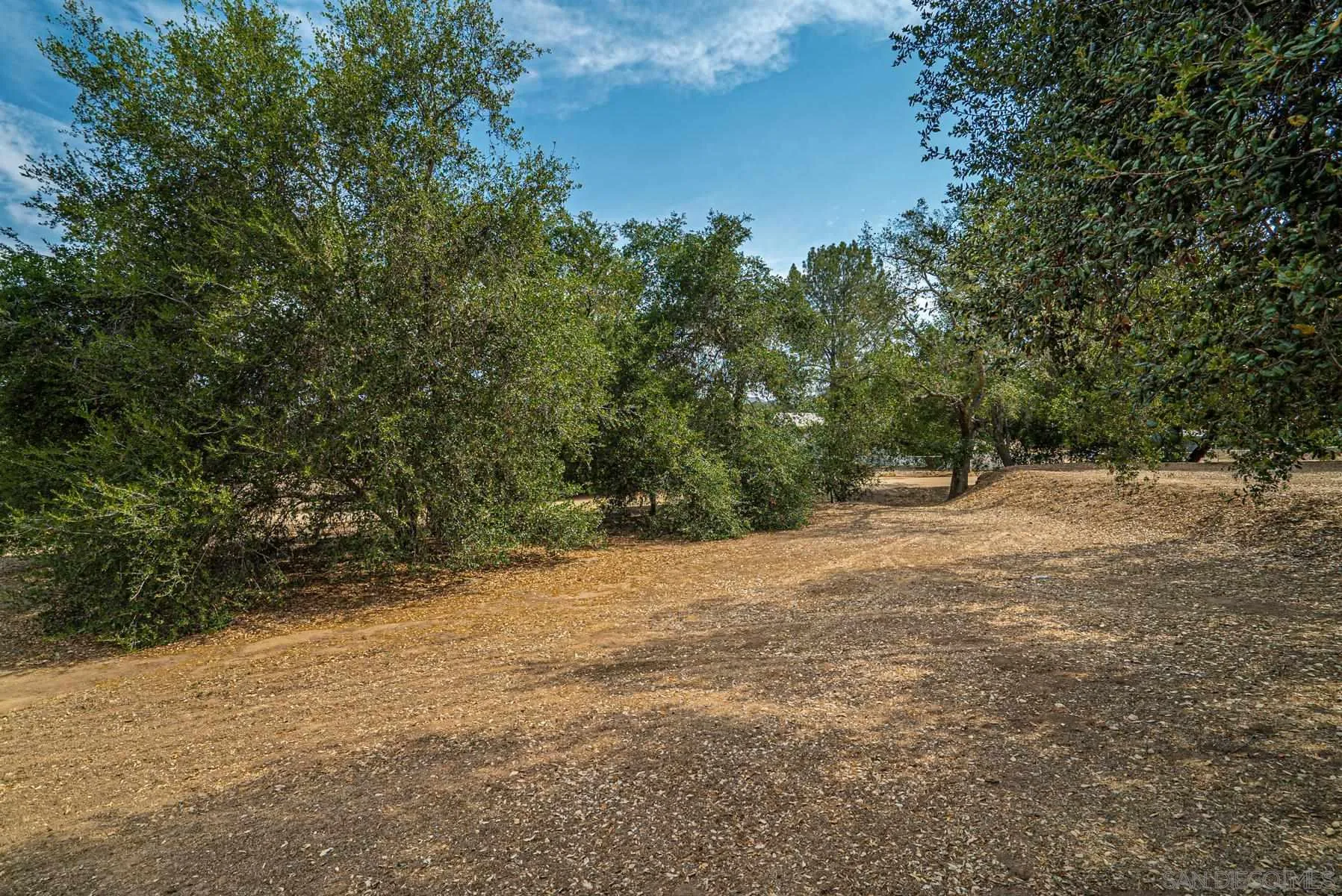 Paradise Mountain Rd Valley Center, Unit 1892302700 Valley Center, CA 92082 - Photo 16 of 24 a view of a yard with a tree