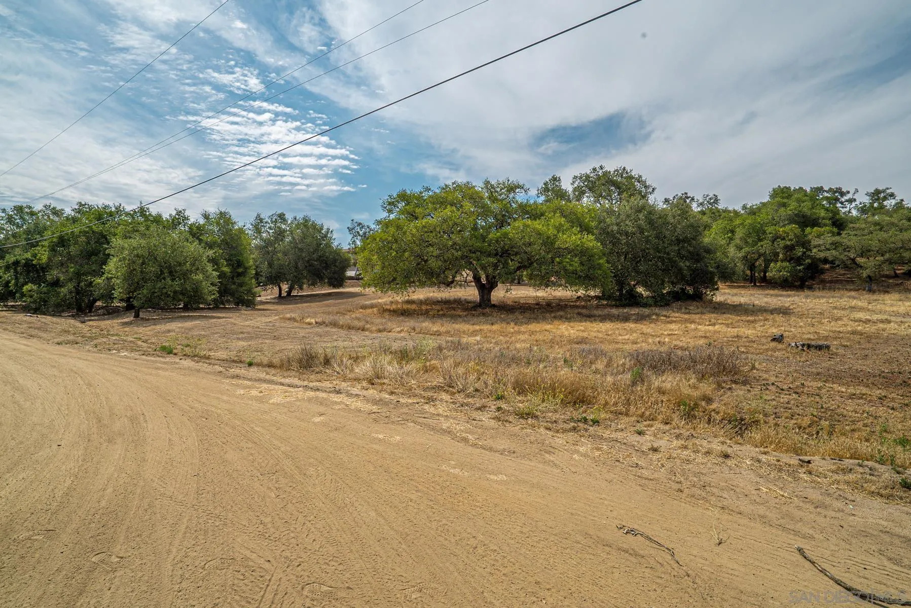 Paradise Mountain Rd Valley Center, Unit 1892302700 Valley Center, CA 92082 - Photo 22 of 24 a view of a yard with a large trees