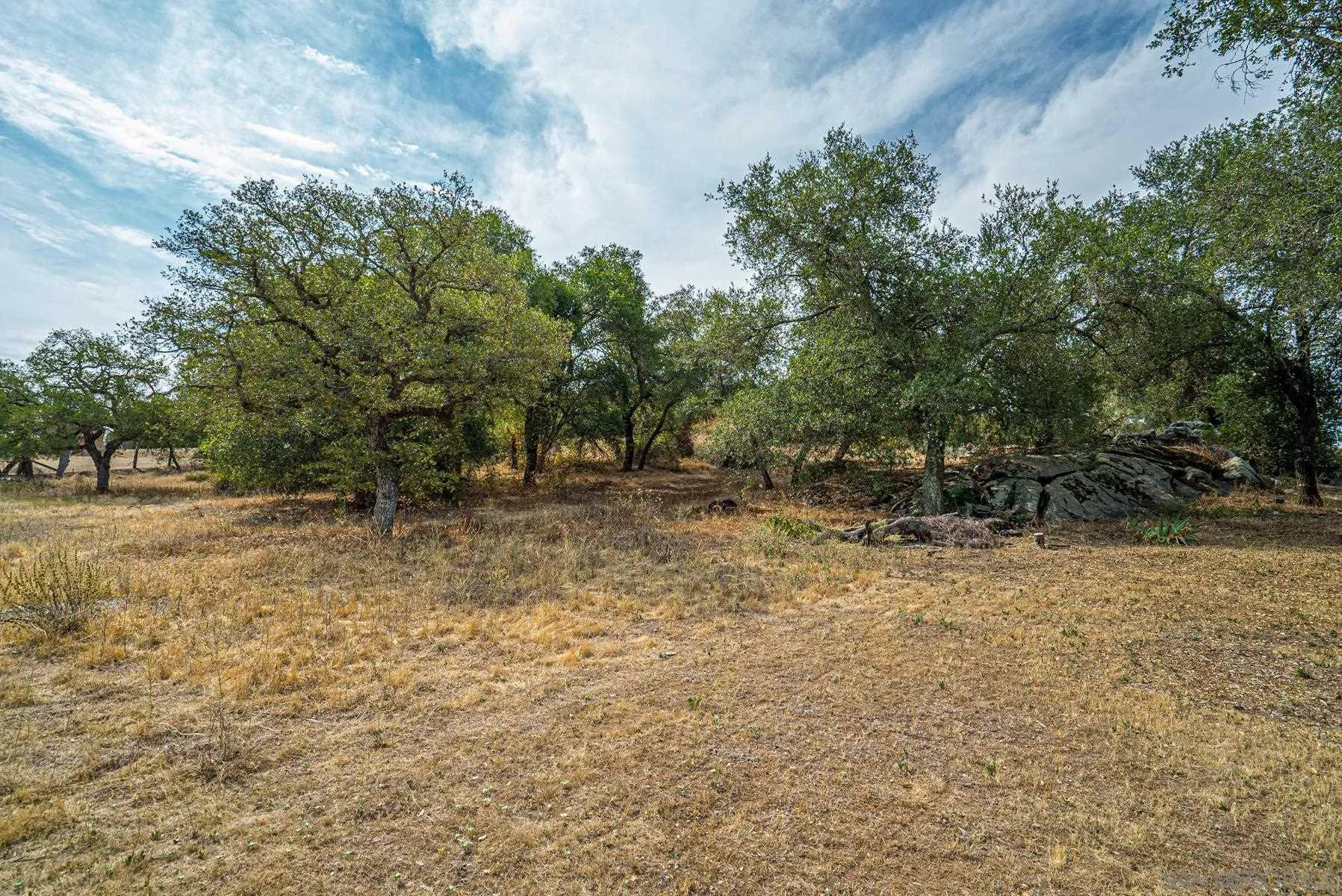 Paradise Mountain Rd Valley Center, Unit 1892302700 Valley Center, CA 92082 - Photo 6 of 24 a view of outdoor space with trees