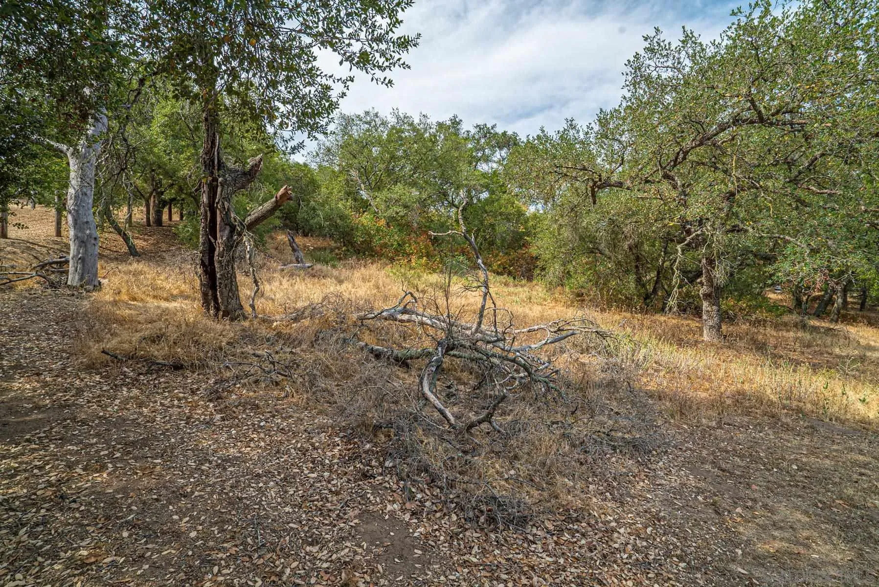 Paradise Mountain Rd Valley Center, Unit 1892302700 Valley Center, CA 92082 - Photo 10 of 24 a view of dirt yard with trees