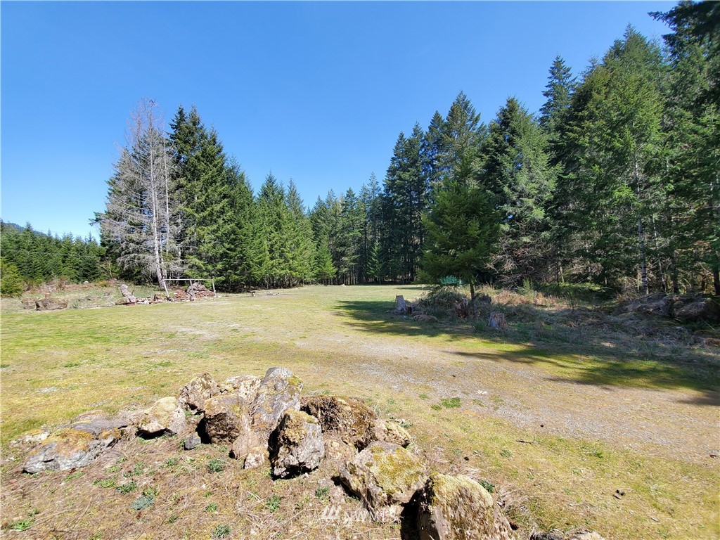 127 Bevin Lake Road Randle, WA 98377 - Photo 6 of 15 Gallery Image 6