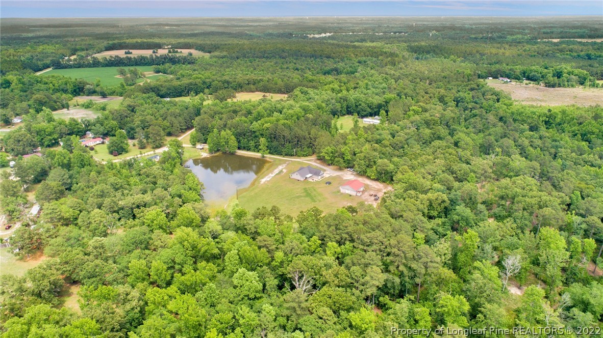 274 Deaton Road Raeford, NC 28376 - Photo 48 of 49 a view of a lush green forest with houses