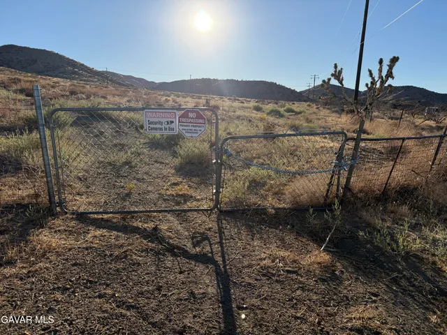a view of a mountain from a yard