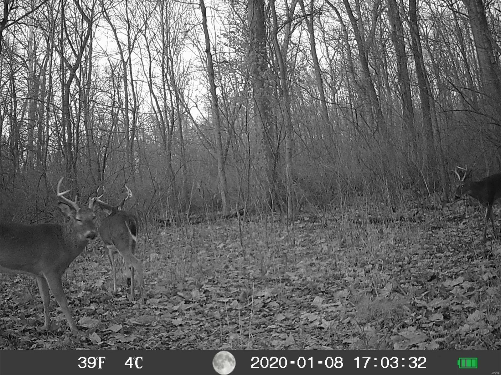 3141 Rentchler Road Belleville, IL 62221 - Photo 36 of 50