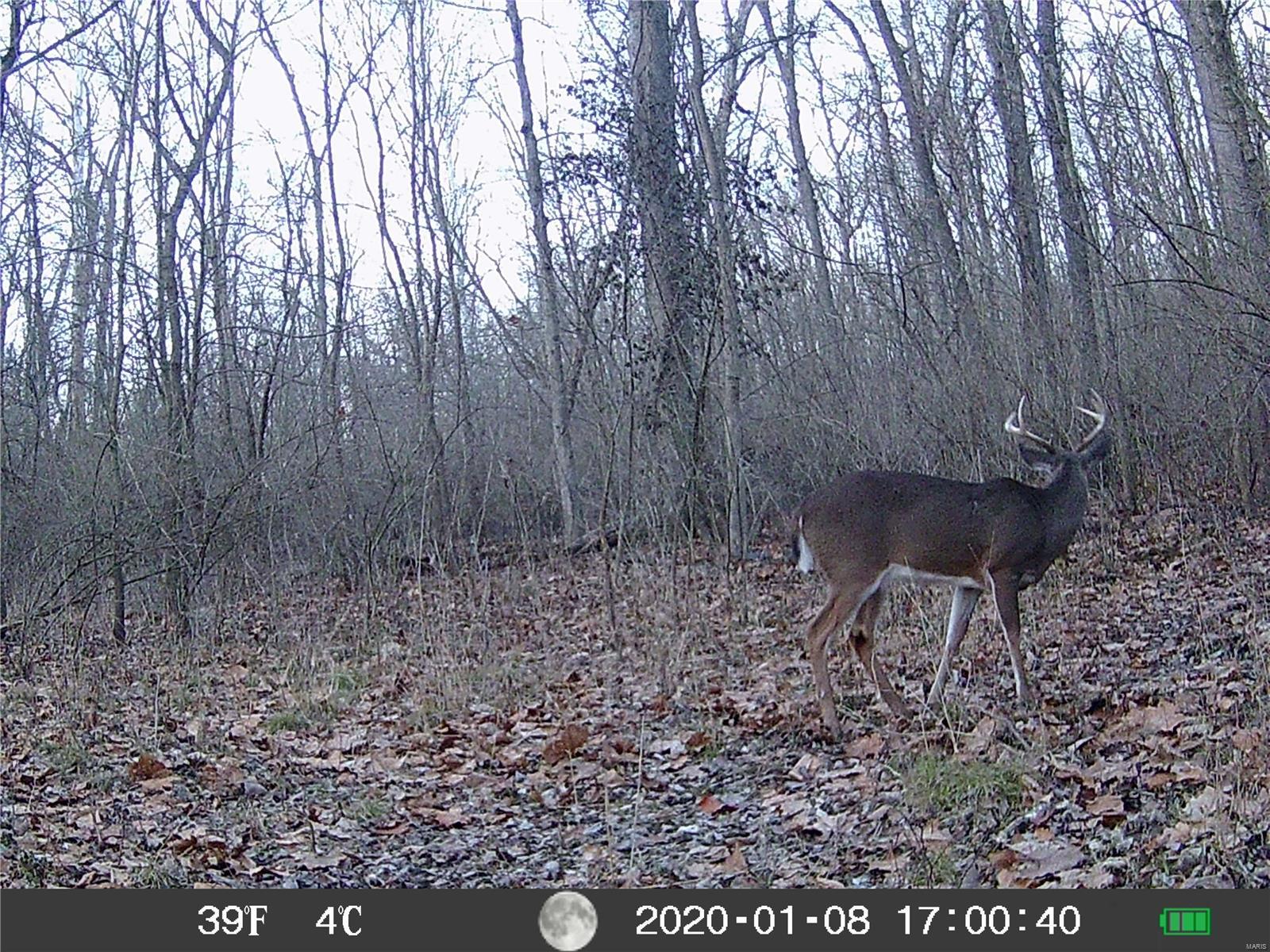 3141 Rentchler Road Belleville, IL 62221 - Photo 38 of 50