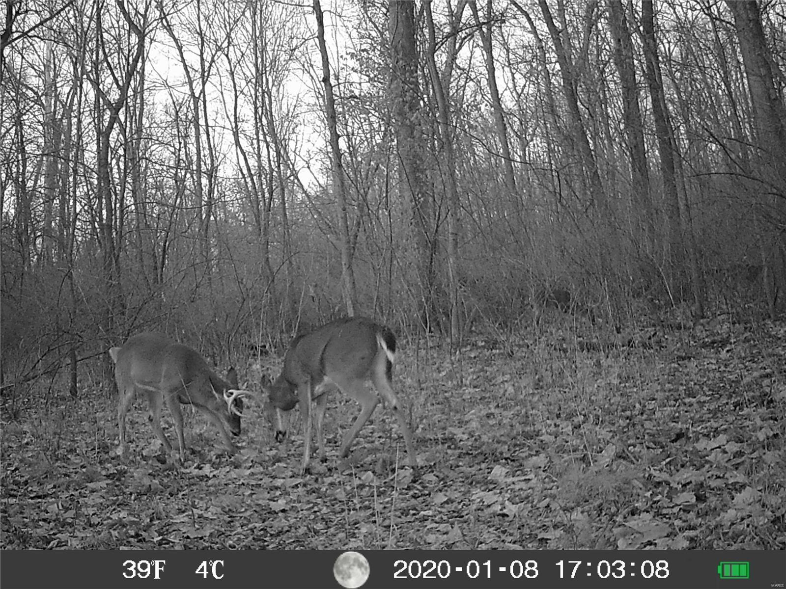 3141 Rentchler Road Belleville, IL 62221 - Photo 39 of 50
