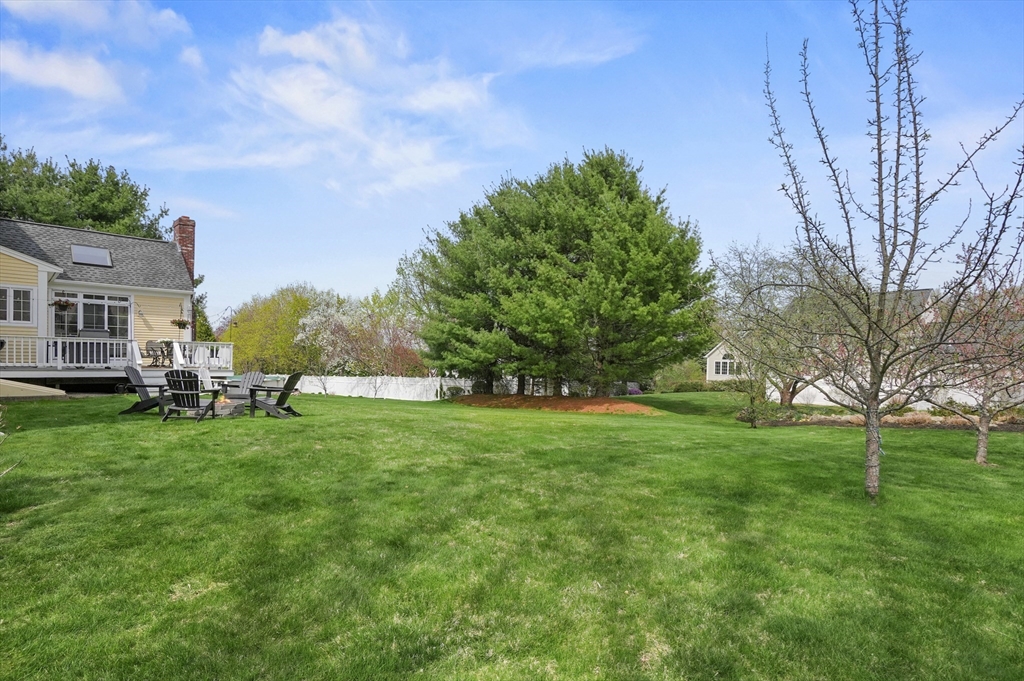 12 Peach Tree Drive Sutton, MA 01590 - Photo 36 of 37 a view of a big yard with plants and large trees