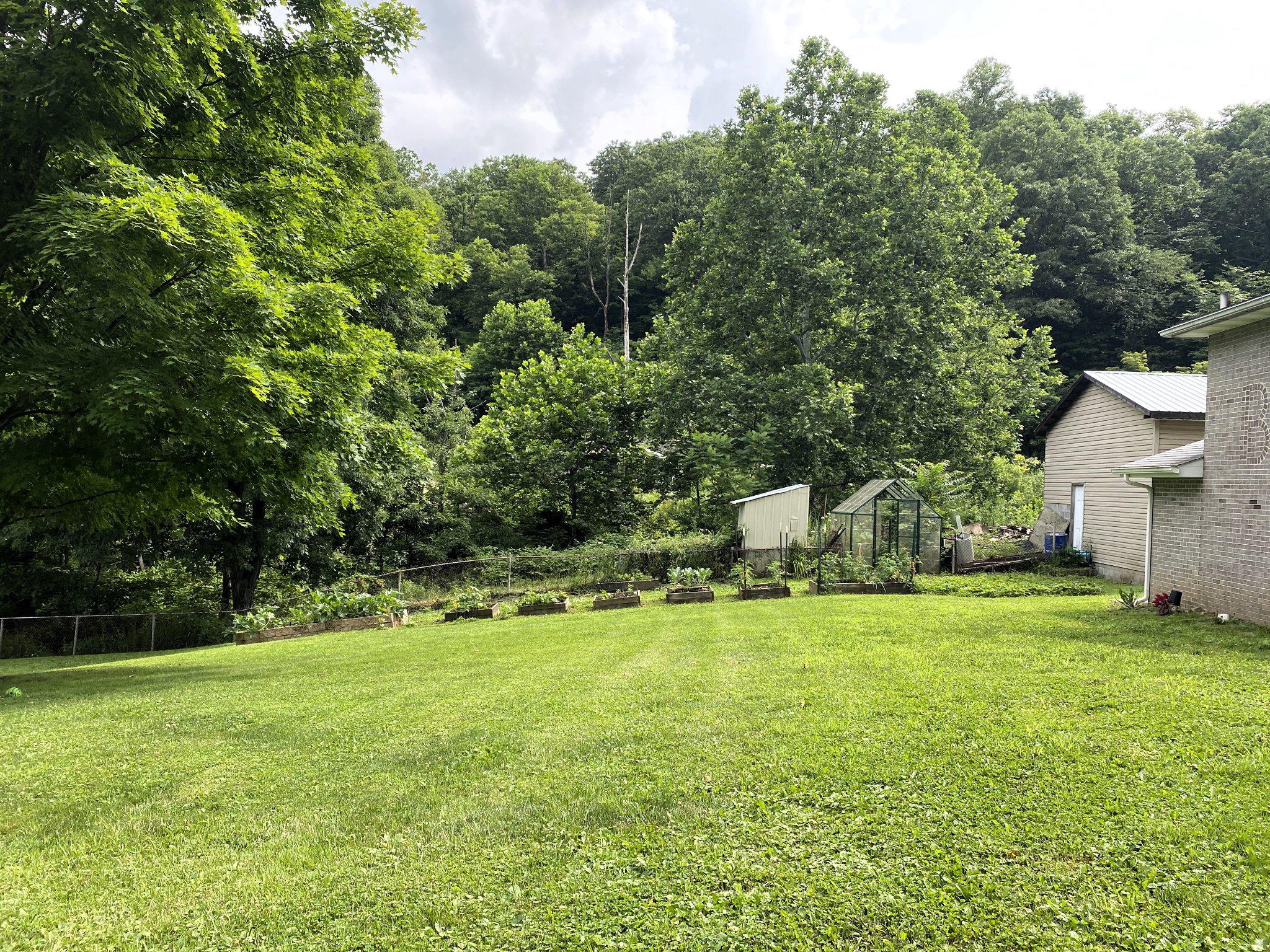 20905 Water Station Run Road Lonaconing, MD 21539 - Photo 61 of 64 Lush Green Yard With Serene Backdrop.