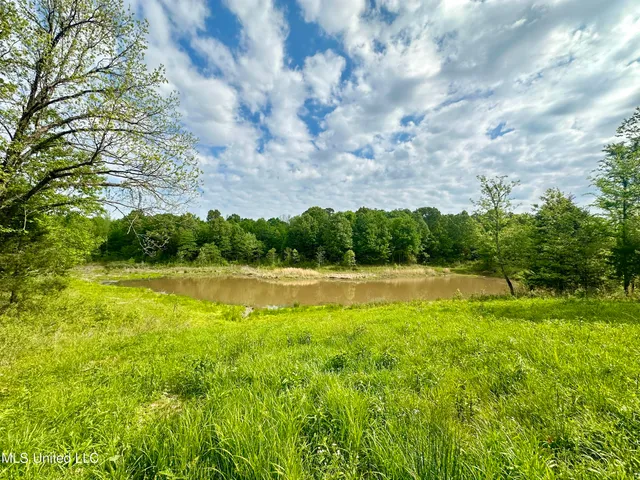 $413,000 | 0 Pickle Drive, Enid, MS 38927