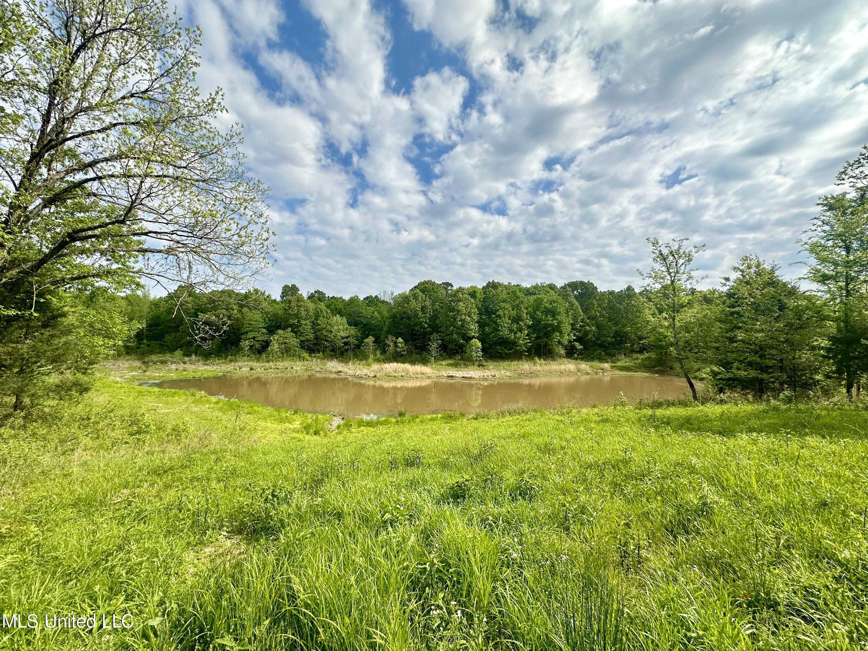 0 Pickle Drive Enid, MS 38927 - Photo 2 of 6 IMG_4729
