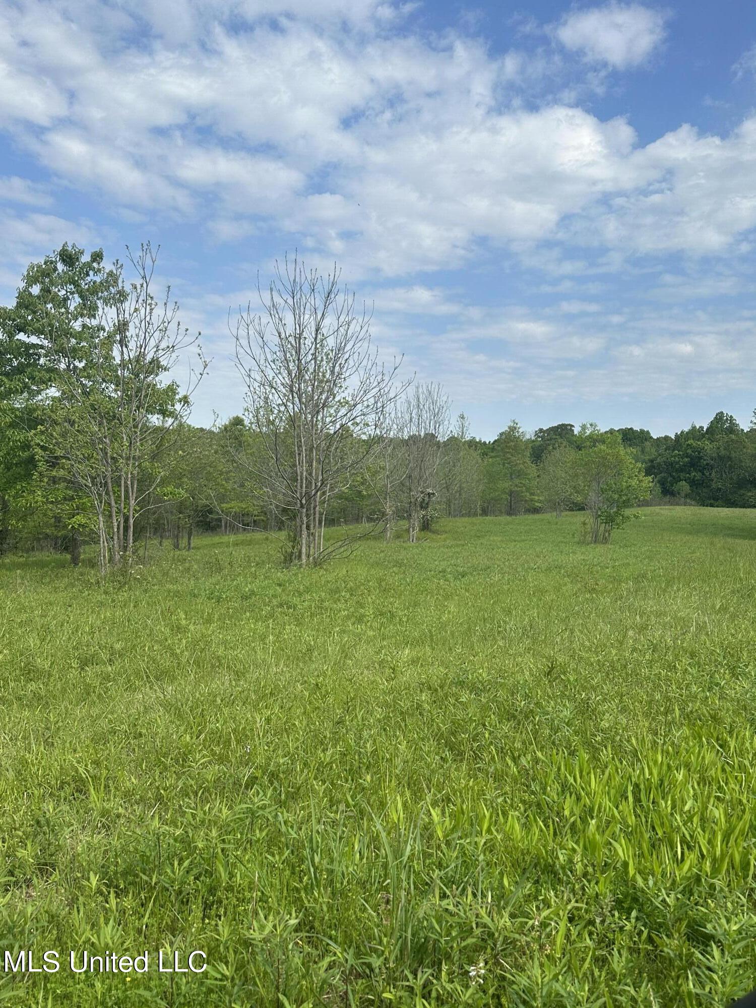 0 Pickle Drive Enid, MS 38927 - Photo 3 of 6 IMG_4735