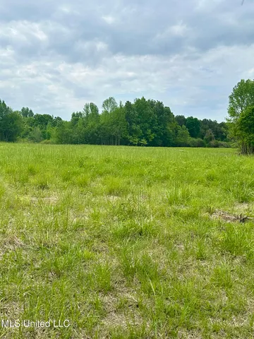 $413,000 | 0 Pickle Drive, Enid, MS 38927