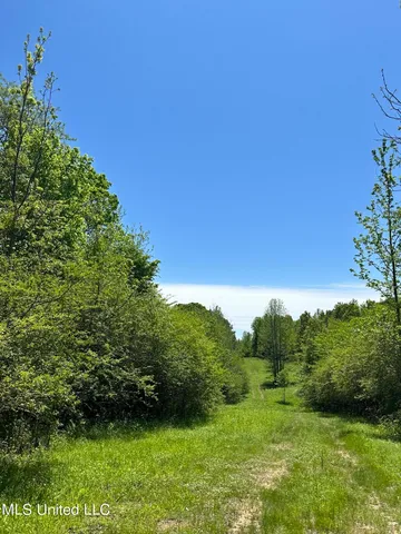 $413,000 | 0 Pickle Drive, Enid, MS 38927