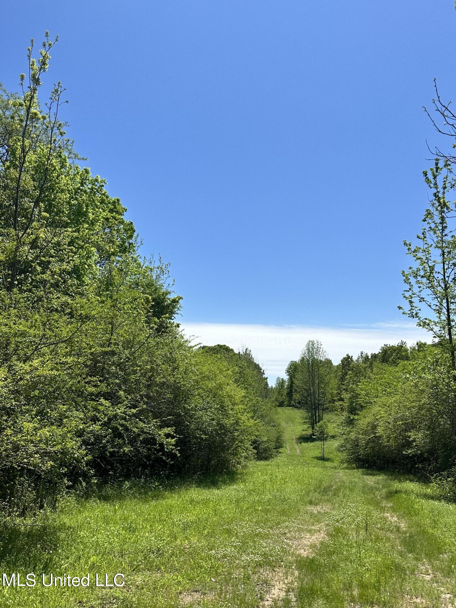 0 Pickle Drive Enid, MS 38927 - Photo 5 of 6 IMG_4656