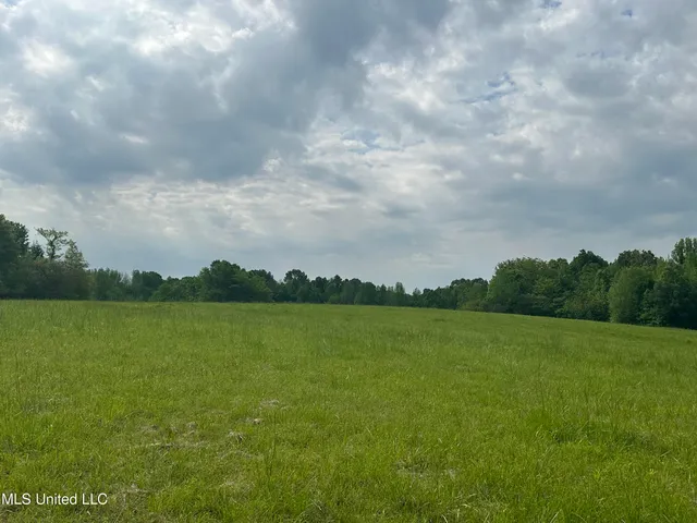 $413,000 | 0 Pickle Drive, Enid, MS 38927