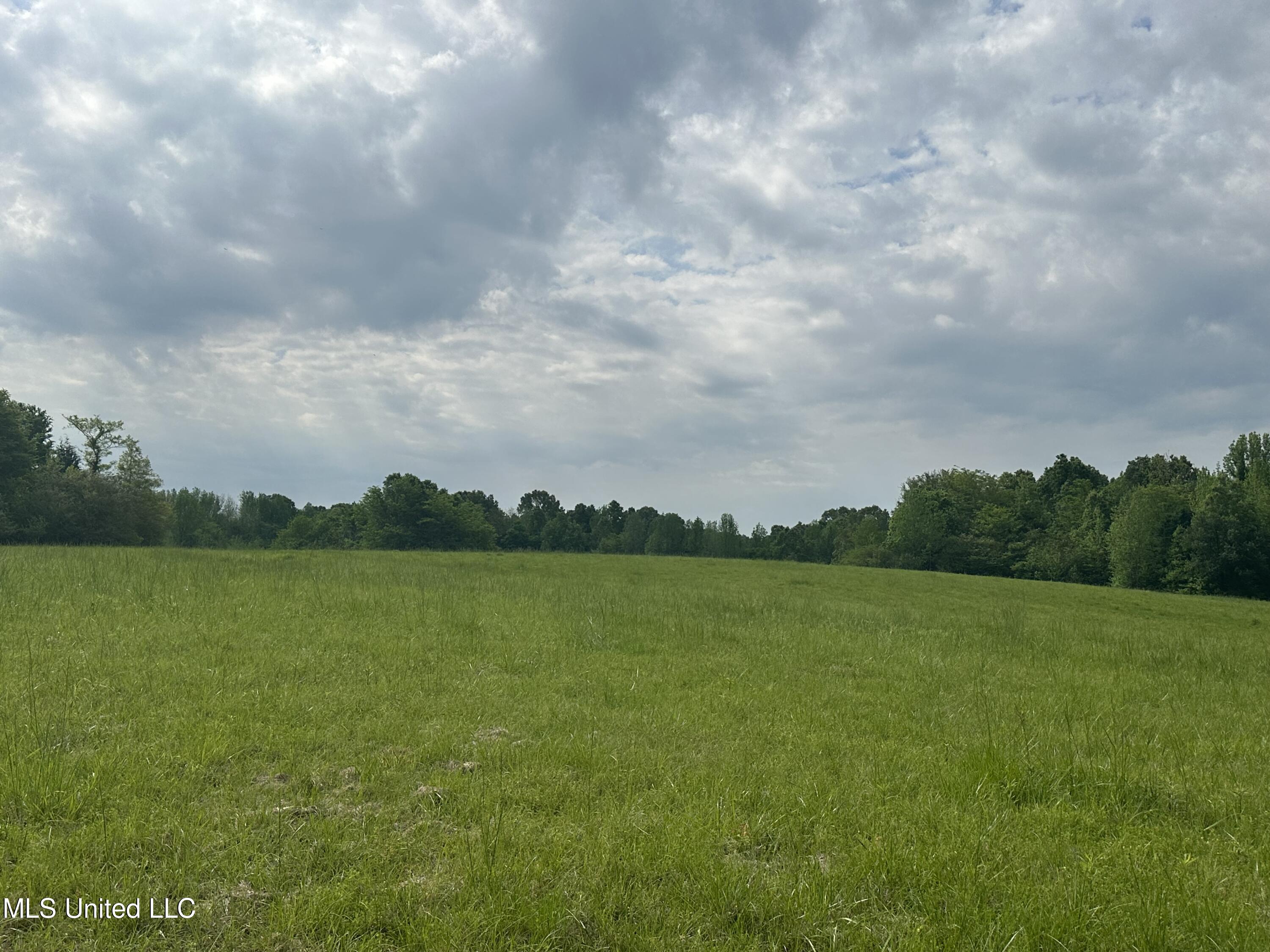 0 Pickle Drive Enid, MS 38927 - Photo 6 of 6 IMG_4734