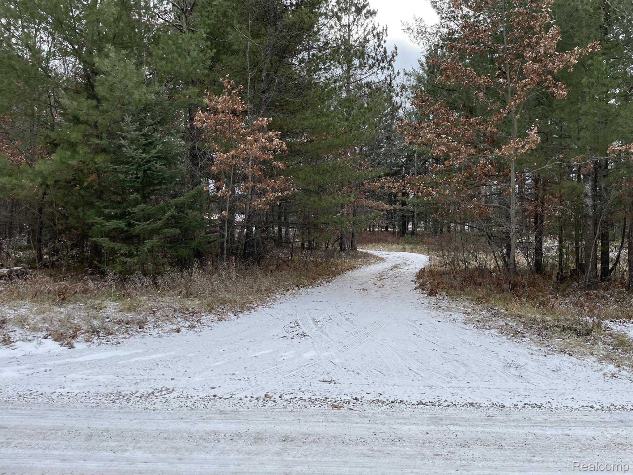 2160 North St Helen Road St. Helen, MI 48656 - Photo 30 of 36