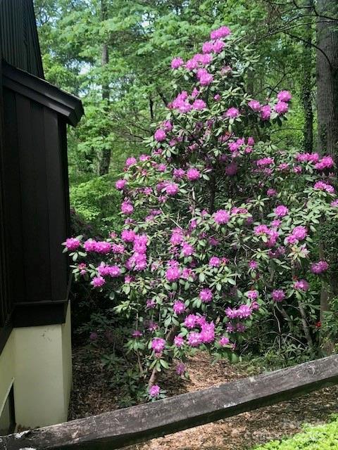 115 Kinwood Street Morganton, NC 28655 - Photo 28 of 29