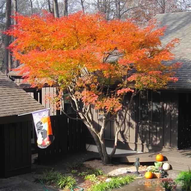 115 Kinwood Street Morganton, NC 28655 - Photo 5 of 29