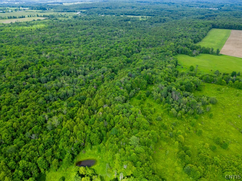 8031 Benson Road Floyd, NY 13354 - Photo 13 of 33