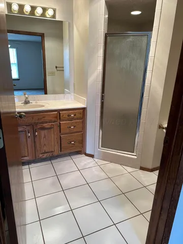 a bathroom with a sink a mirror and a shower