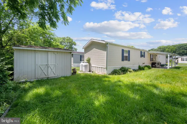 a view of a backyard with potted plants and large tree