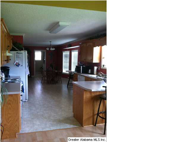 904 Ridgeway Drive Oneonta, AL 35121 - Photo 4 of 7