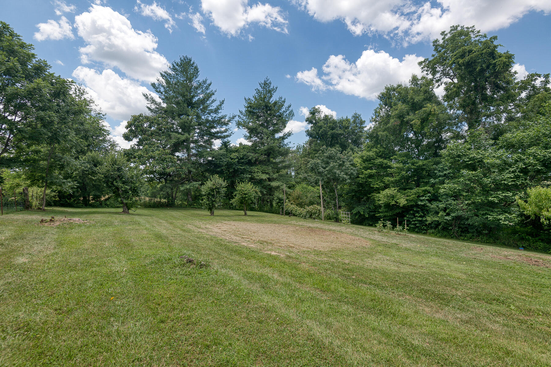 240 Jimmy Keys Road Telford, TN 37690 - Photo 37 of 47 Jimmy Keys 47