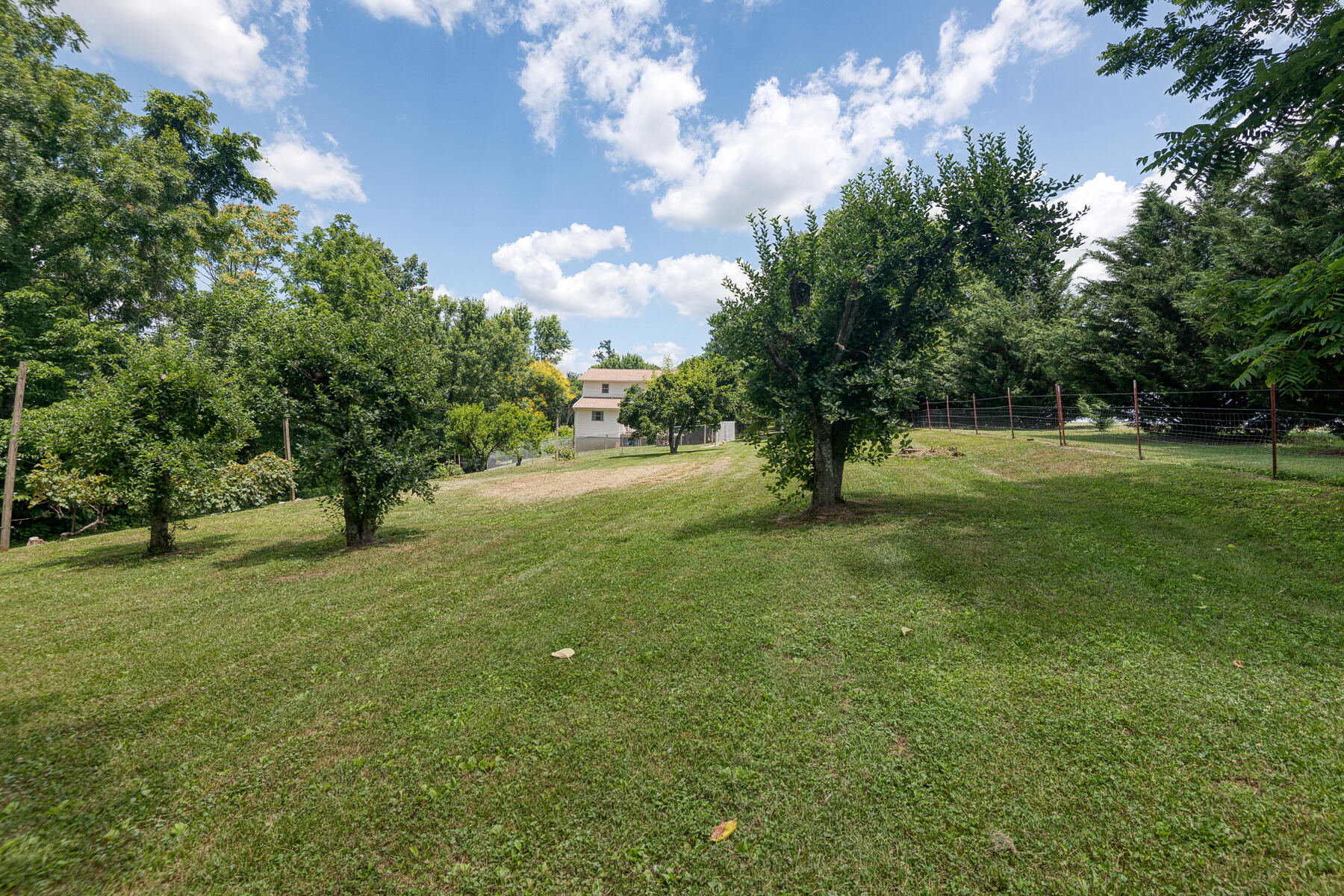 240 Jimmy Keys Road Telford, TN 37690 - Photo 38 of 47 Jimmy Keys 48