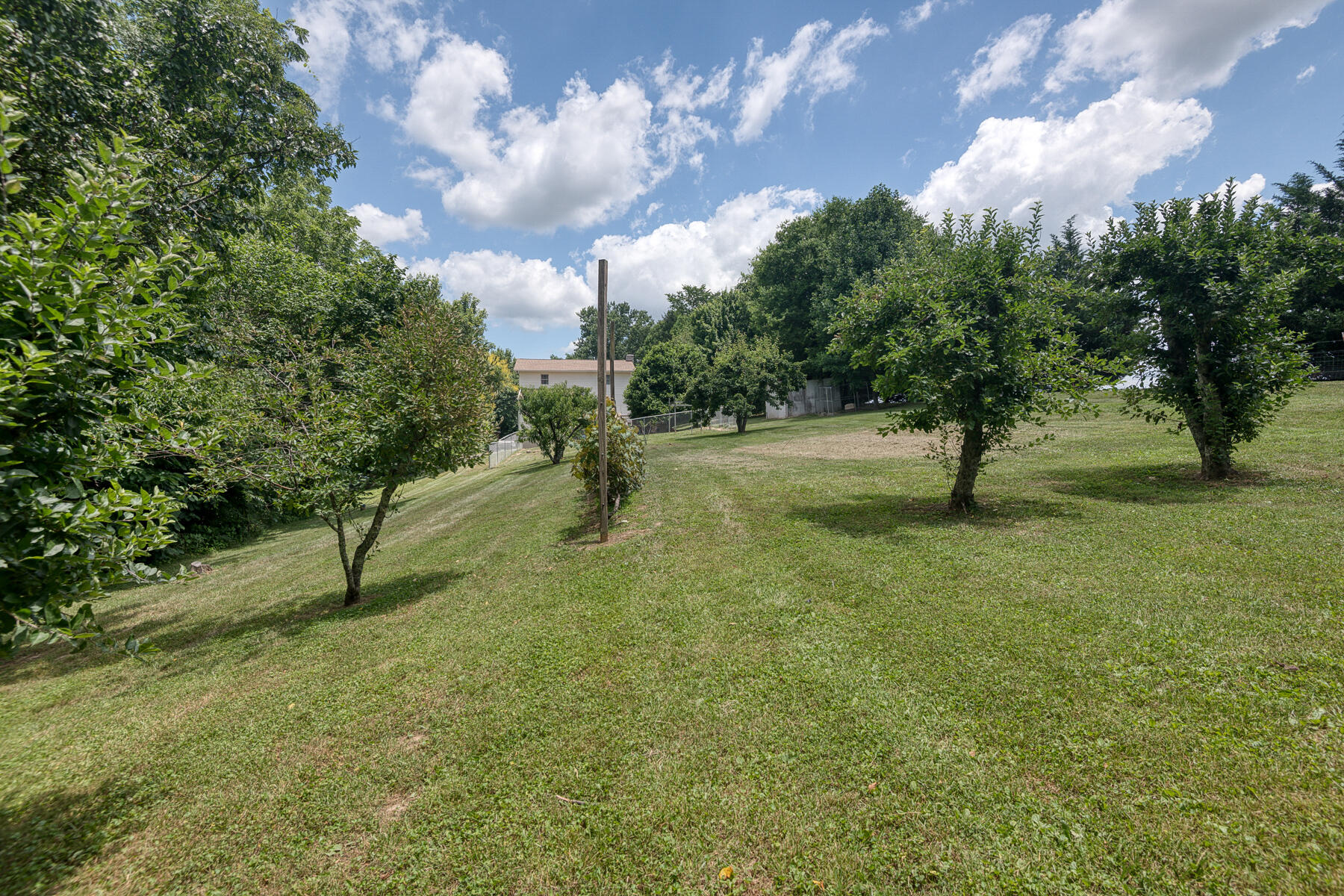 240 Jimmy Keys Road Telford, TN 37690 - Photo 39 of 47 Jimmy Keys 49