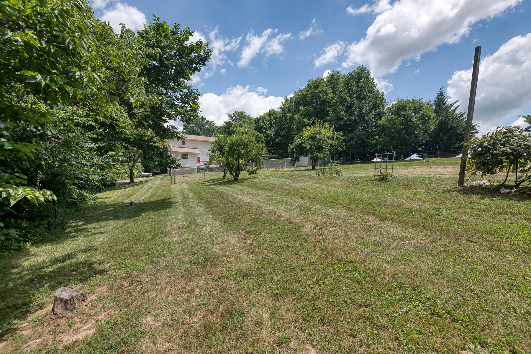 240 Jimmy Keys Road Telford, TN 37690 - Photo 40 of 47 Jimmy Keys 50